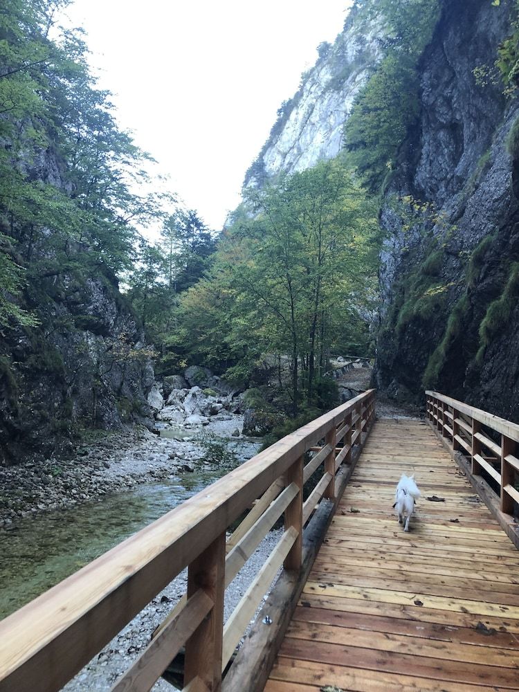 Gasthof Kögerlwirt in Goestling An Der Ybbs, Austria