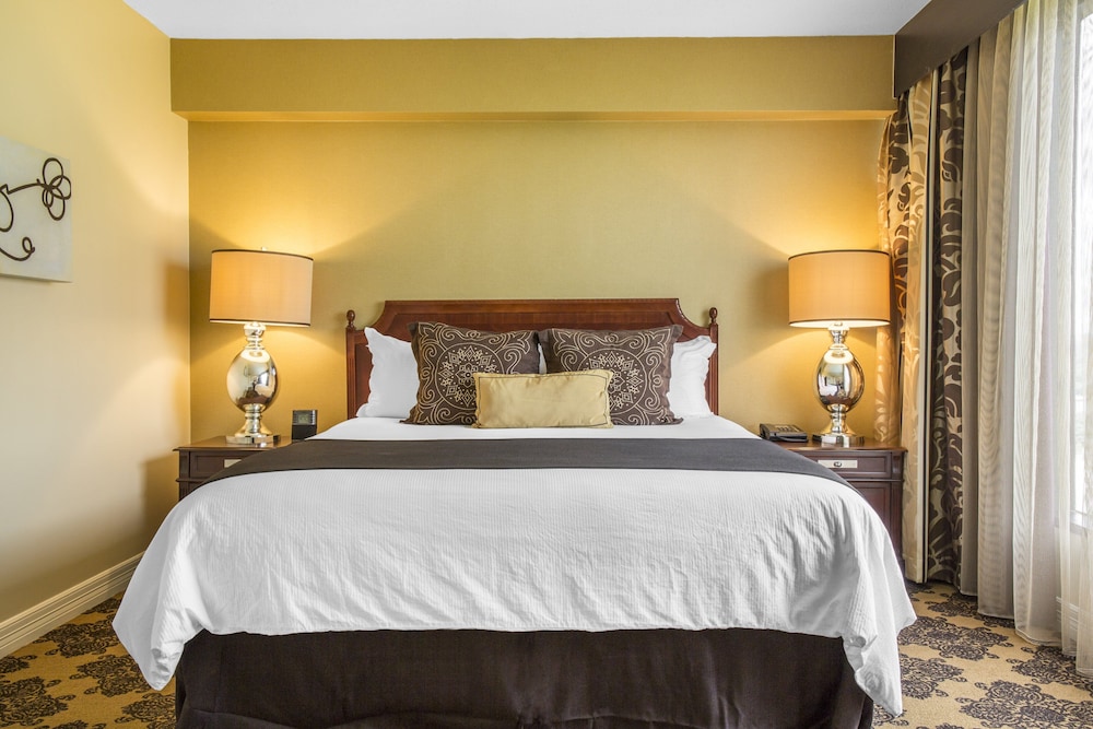 Omni Houston Hotel - photo 24