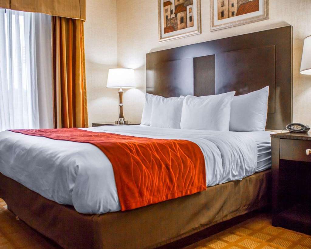 Comfort Suites Edinboro - photo 10