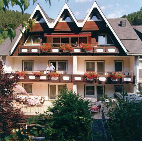 Aparthotel Jagerhaus — Willingen
