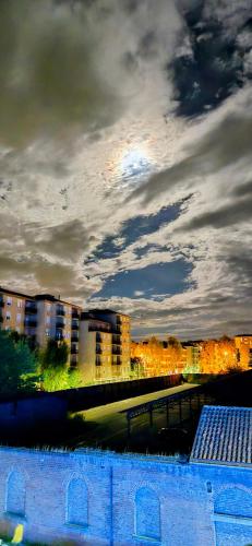 Jungle Sunshine Apartment — 4-Star Luxury Hotel in Alessandria, Italy