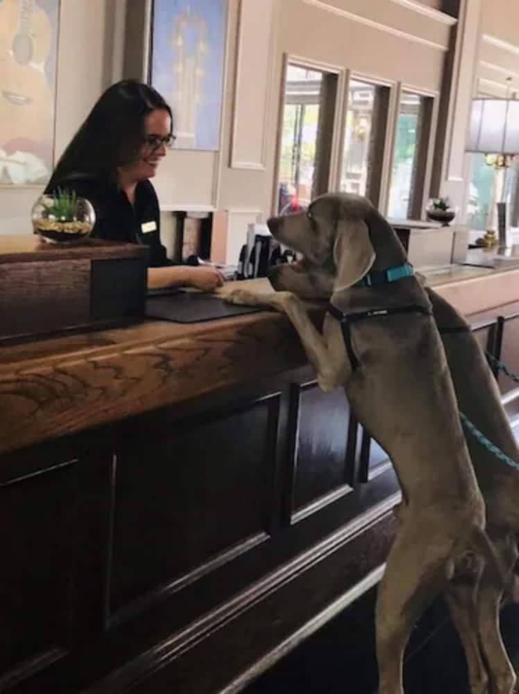 Millennium Maxwell House Nashville - photo 4