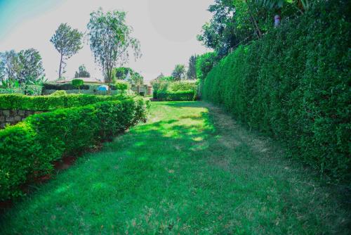 Pottersville Gardens — Unknown City