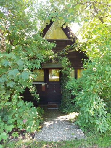 Ferienhaus Bergwiese — Siegsdorf