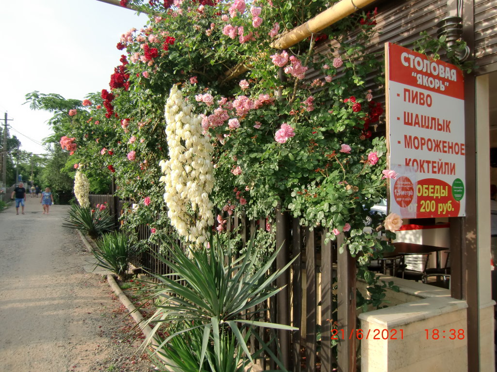 Yakor Mini hotel — Anapa — photo 3