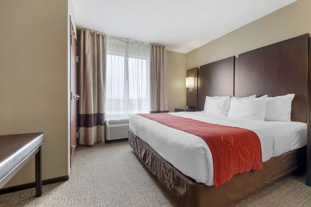 Comfort Suites and Conference Center - photo 15