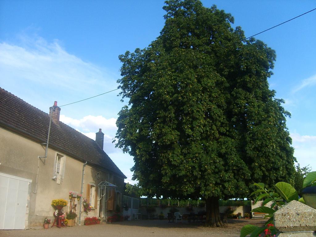 Armalou — Pouilly-Sur-Loire — photo 3