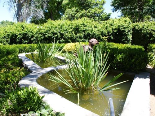 Mieliefontein Karoo Guest Farm — Bloemfontein — photo 4