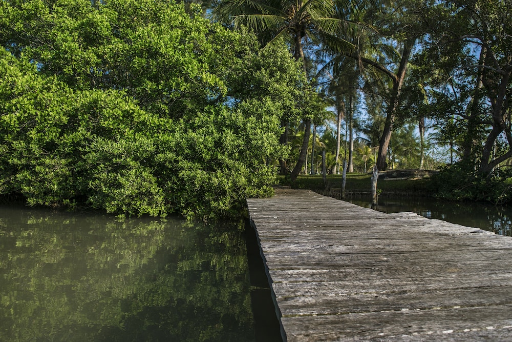 Dock