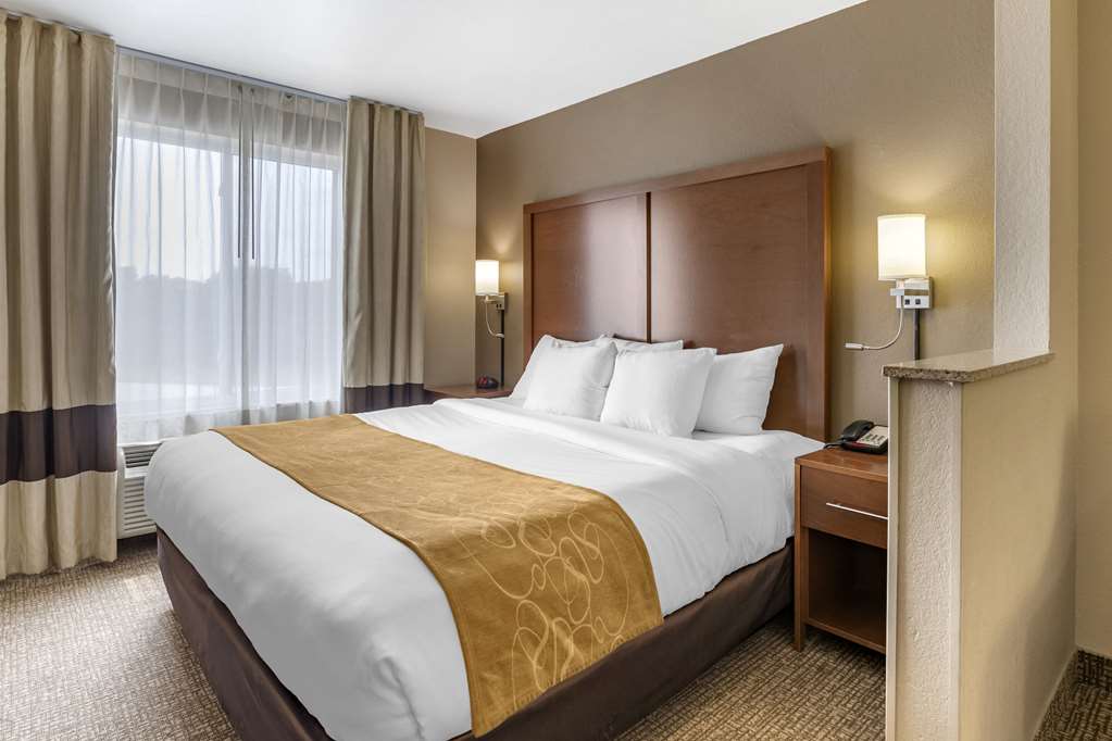 Comfort Suites Coralville I 80 - photo 22