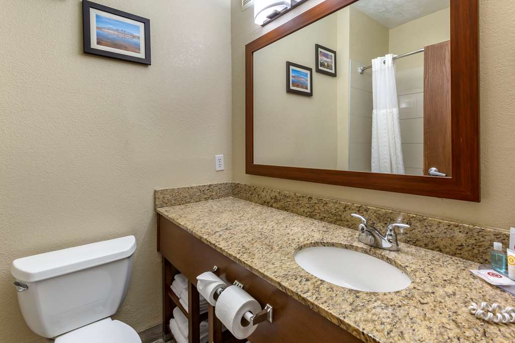 Comfort Inn & Suites Alameda at Albuquerque Balloon Fiesta Park - photo 14