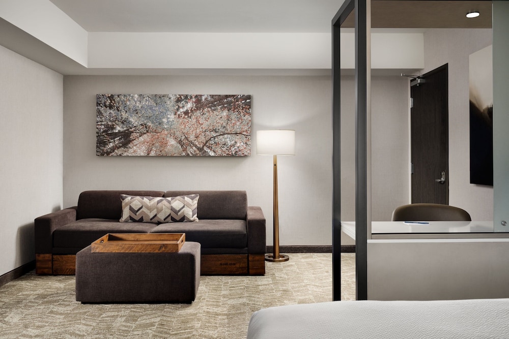 SpringHill Suites by Marriott Milpitas Silicon Valley - photo 10