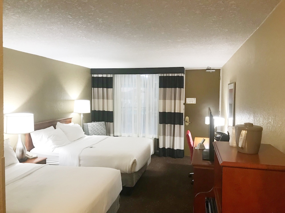 Holiday Inn Alexandria by IHG - photo 7