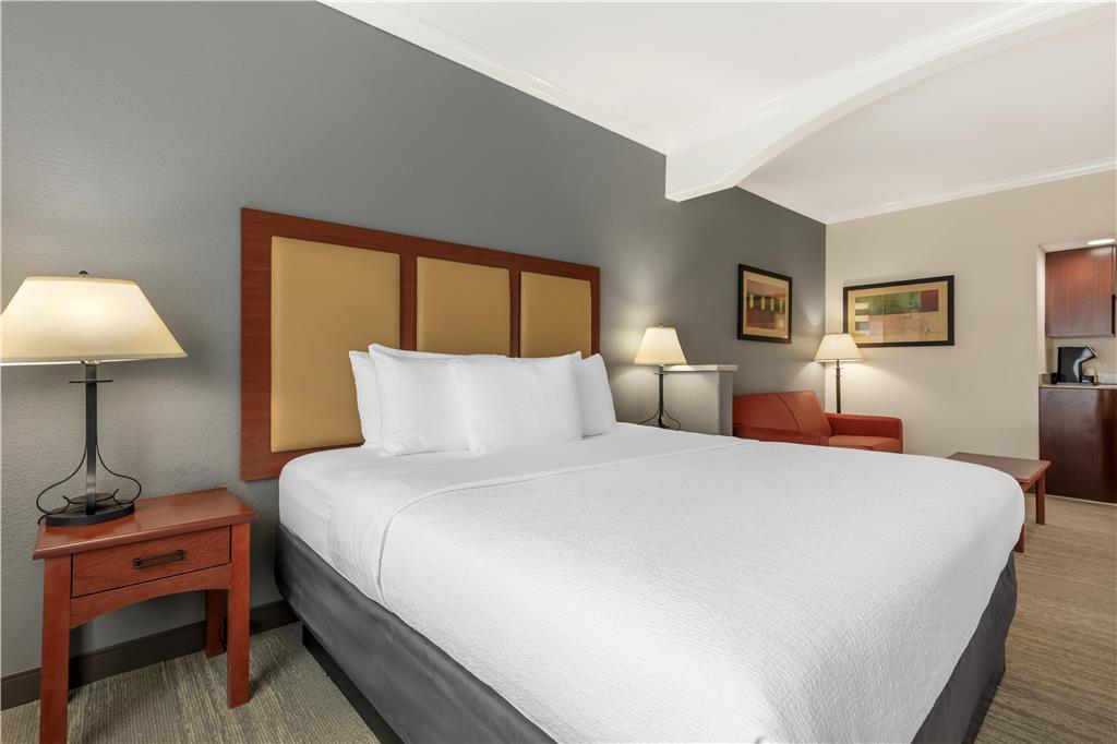 Best Western Plus Waxahachie Inn & Suites - photo 18