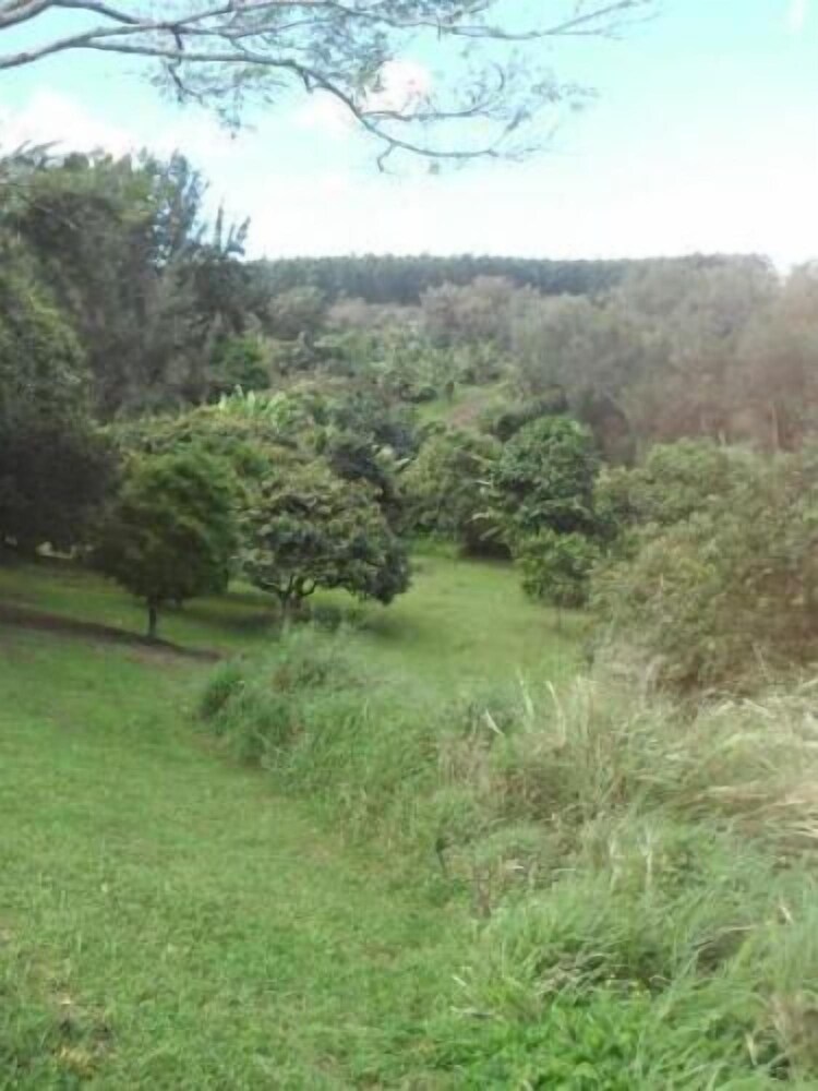 Hale Kukui Orchard & Cottages - photo 36