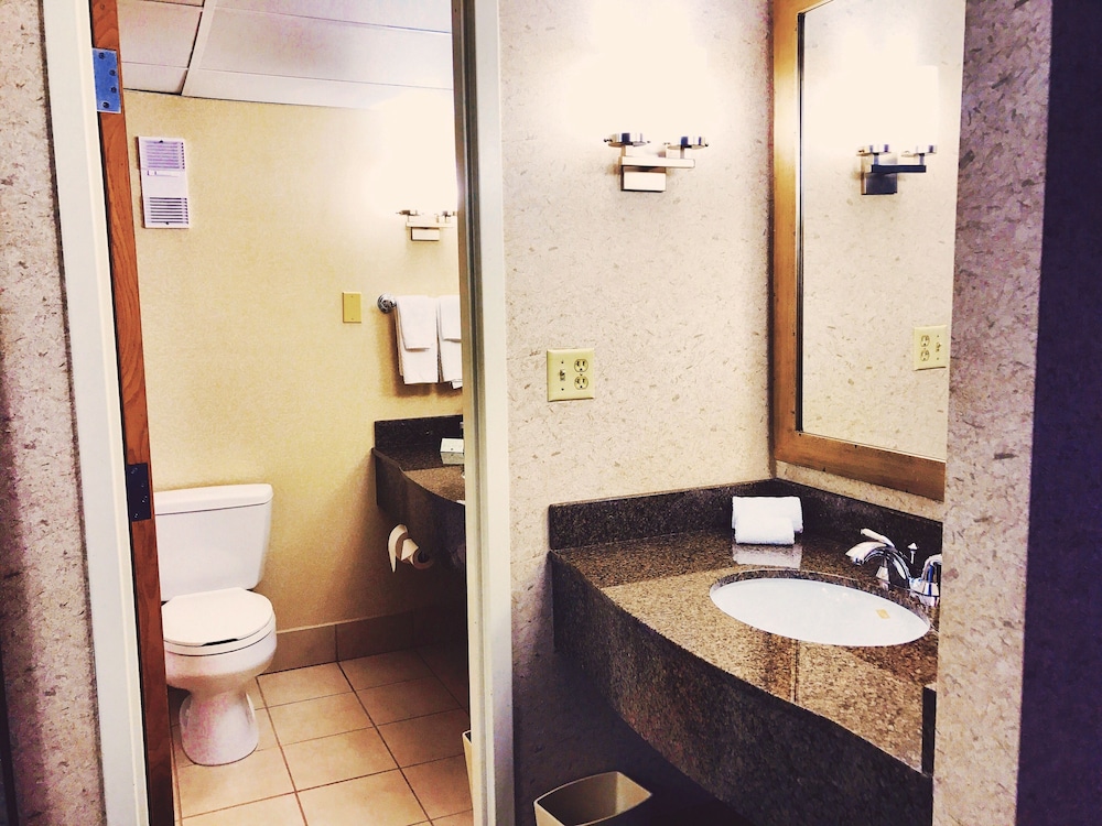 DoubleTree by Hilton Hotel St. Paul Downtown - photo 33