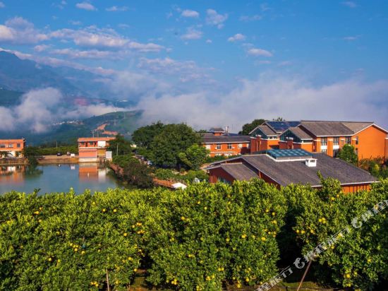 Chu Orange Manor — hotel in Guishan