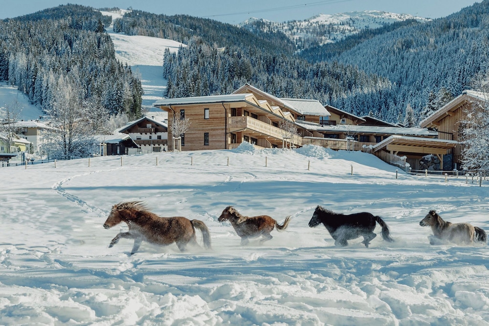 Mariengut Aparthotel Kramer in Wagrain, Austria