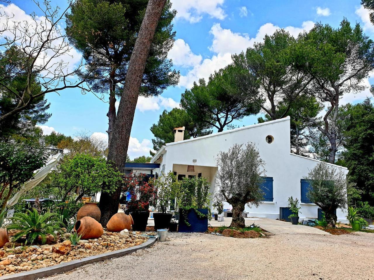 Un Oasis En Provence — Aubagne — photo 2