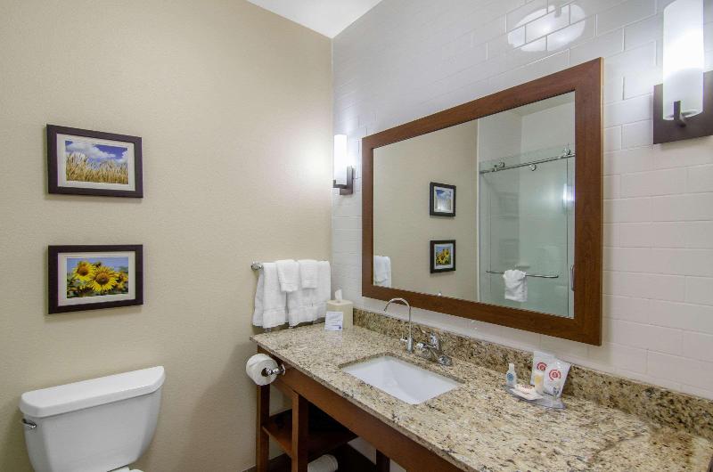 Comfort Inn & Suites Shawnee Kansas City - photo 6