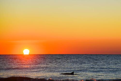 Sea Cloisters 305 — 4-Star Luxury Hotel in Hilton Head Island, United States
