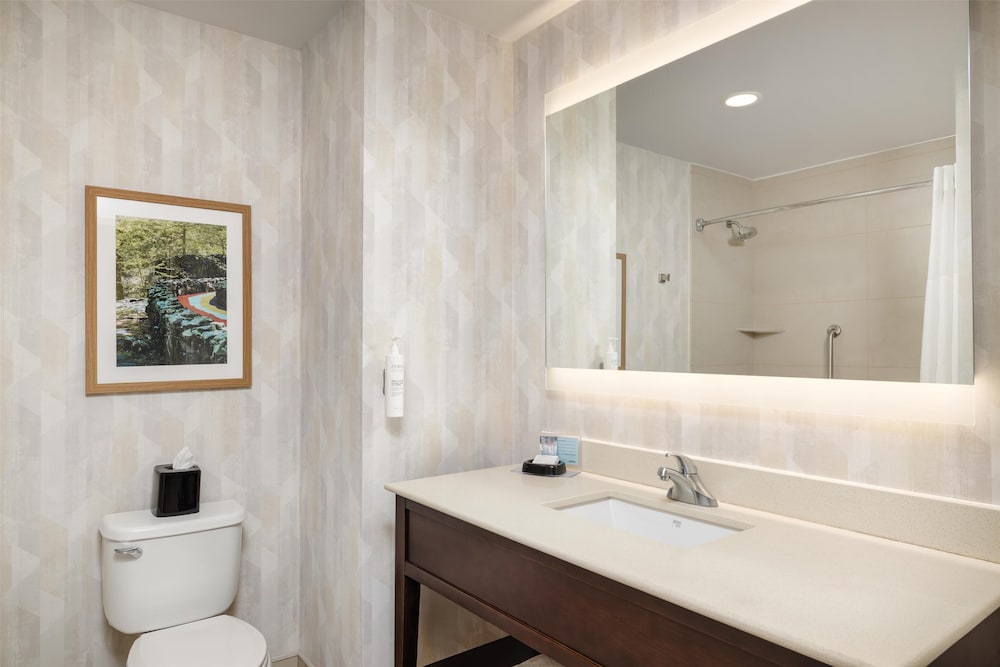 Hampton Inn Chattanooga West Lookout Mountain - photo 19