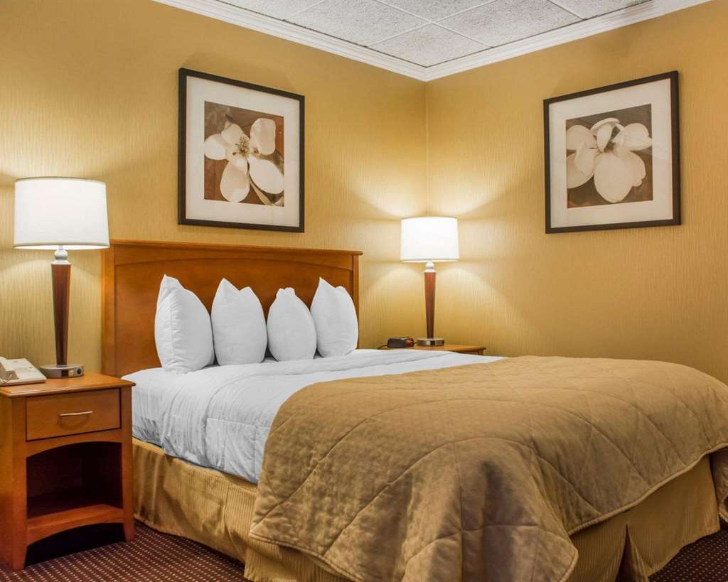 Clarion Hotel & Suites Riverfront - photo 4