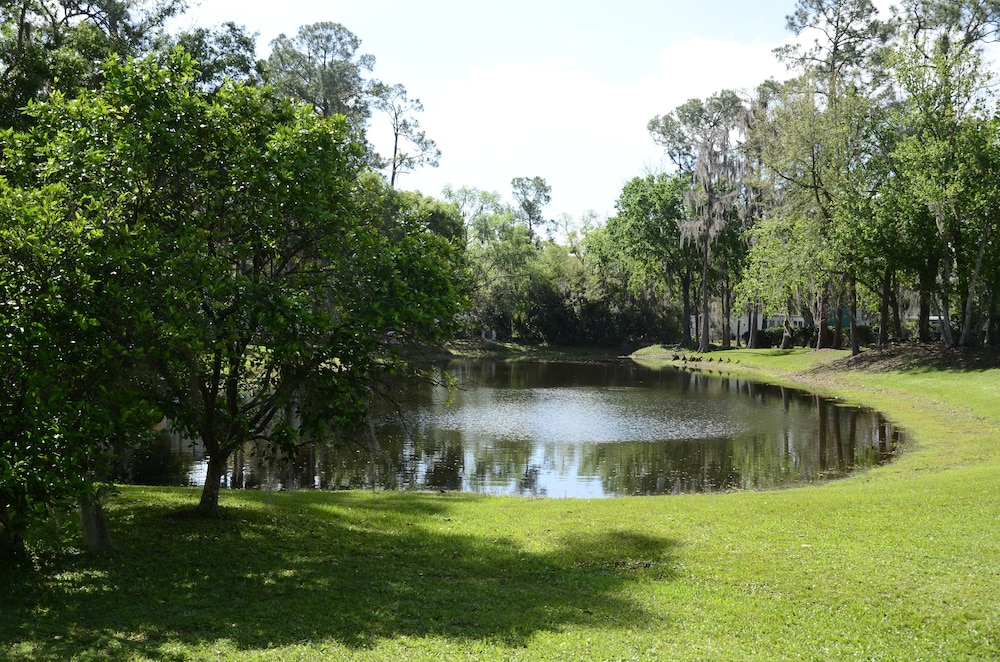 Sherwood Forest RV Resort - photo 5