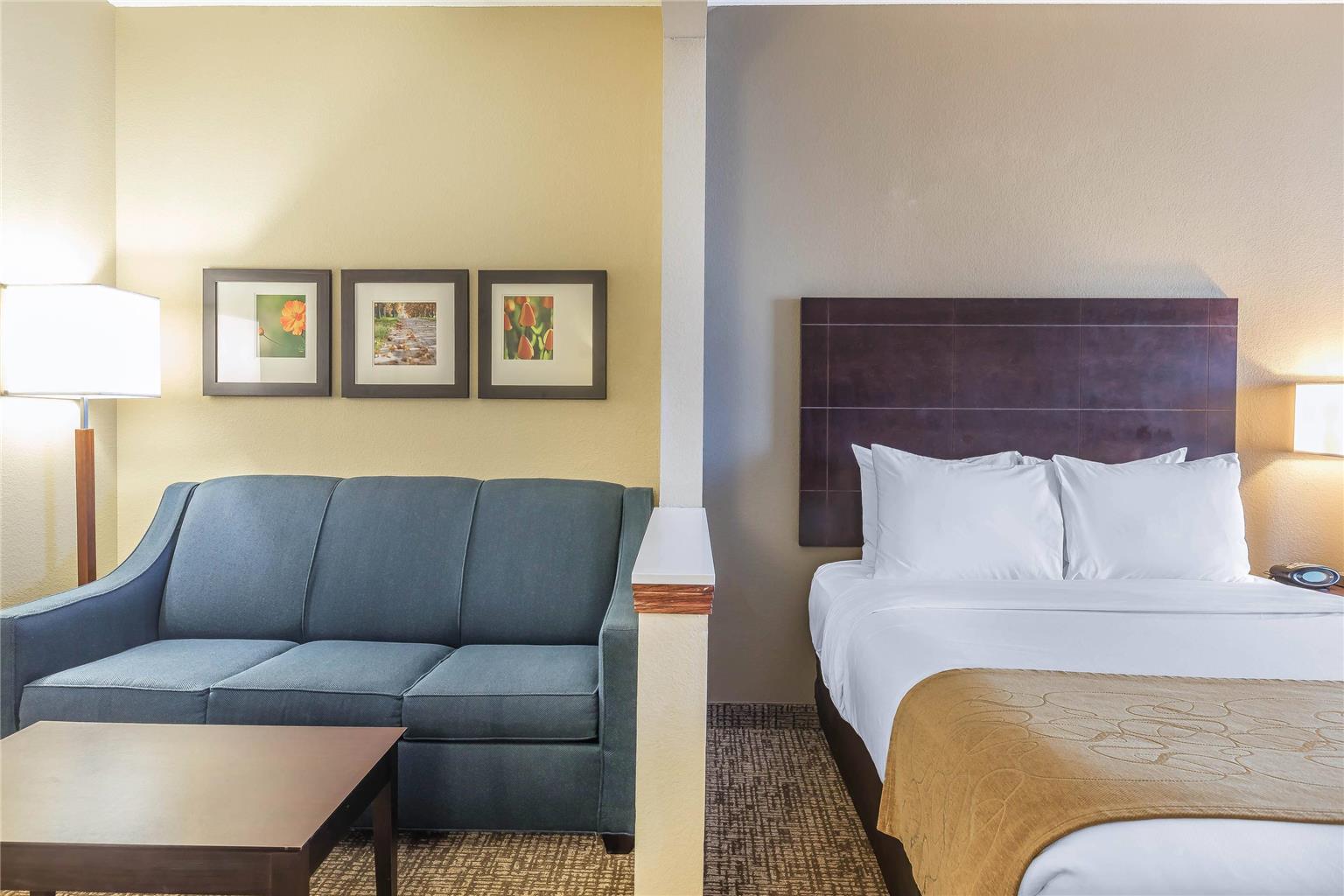 Comfort Suites Fort Wayne North - photo 14