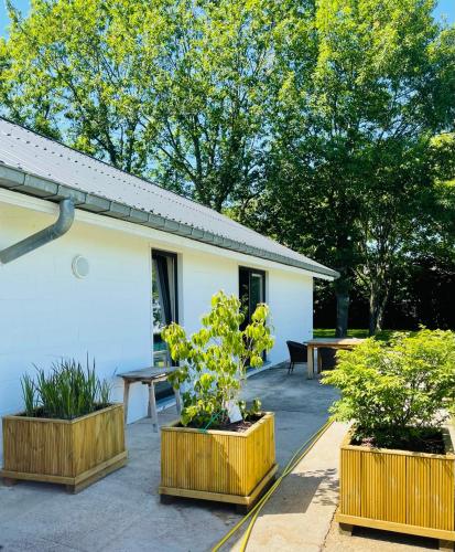 Landlord bij Leuven pet-friendly hotel Holsbeek
