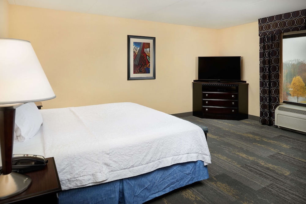Hampton Inn & Suites Mt. Juliet - photo 15