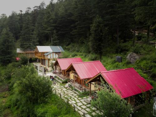 Himalayan Cedar Nest - last minute hotel in Unknown City