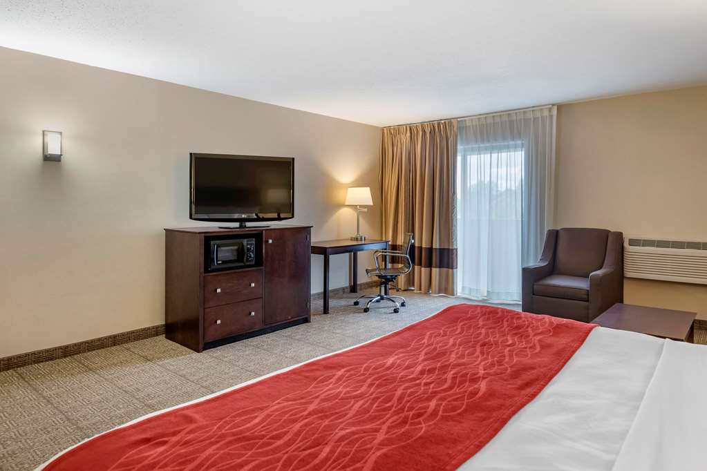 Comfort Inn Lansing West - photo 28