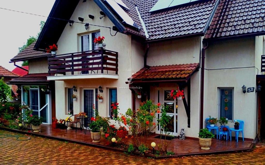 Edelweiss Ilinca in Zarnesti, Romania