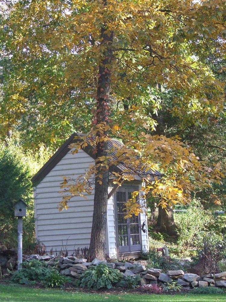Forest Hill Inn - photo 4