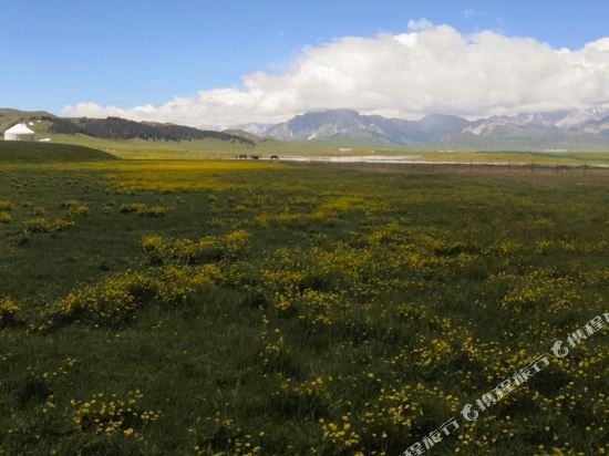Il corso - carbon neutral hotel in Norcia