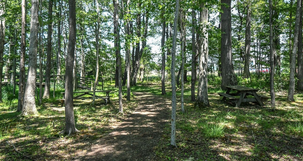 Glenwood Cove - photo 60