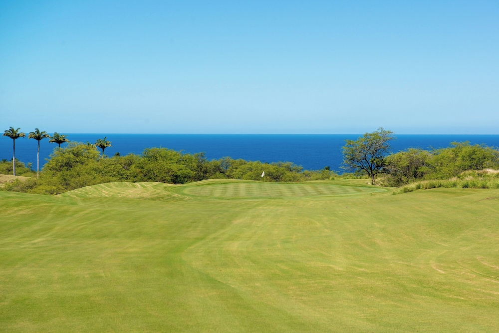 The Westin Hapuna Beach Resort - photo 86