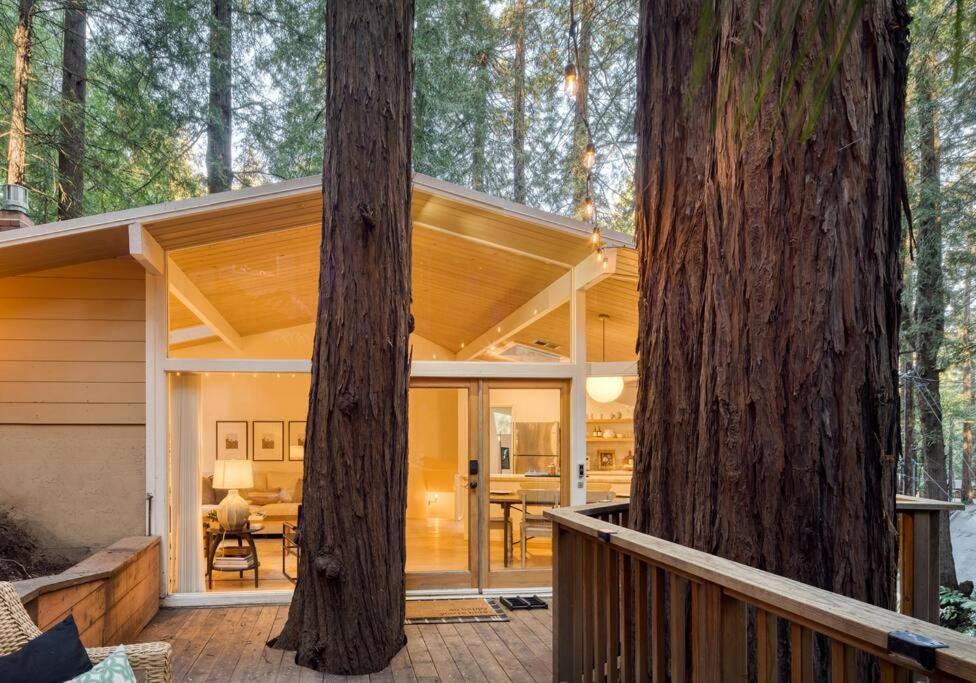 Window to the Redwoods Near Downtown MV Dipsea Trail & Muir Woods — hotel in Mill Valley