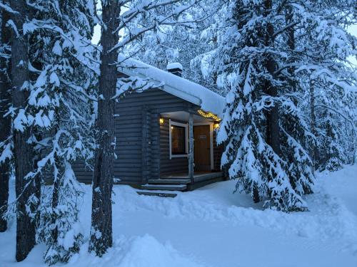 Tunturioravat in Kolari, Finland