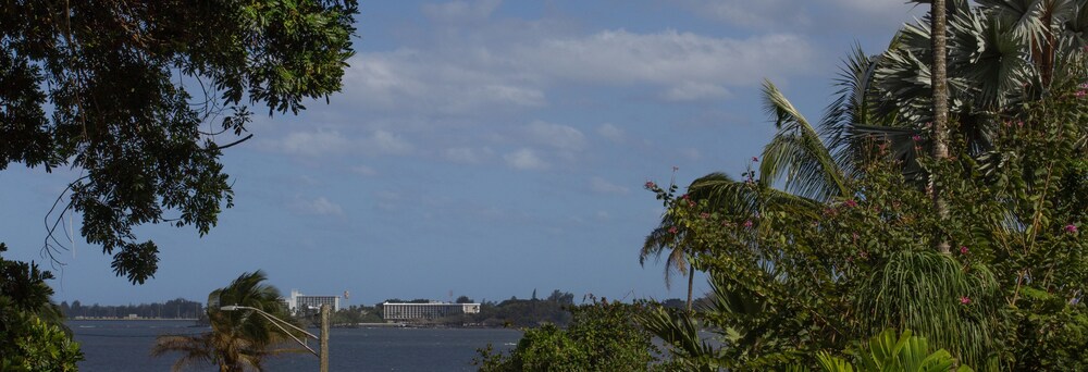 Wild Ginger Inn Hotel - photo 37