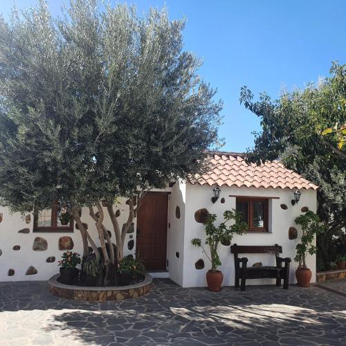 La Gallania de Papá Pepe — hotel in Santa Lucia