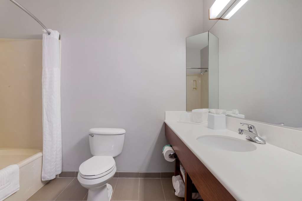 Comfort Suites La Porte Baytown - photo 9