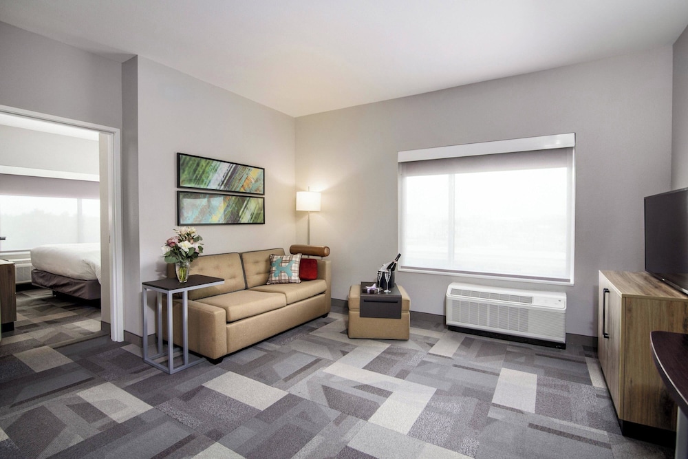 TownePlace Suites by Marriott Houston Hobby Airport - photo 12