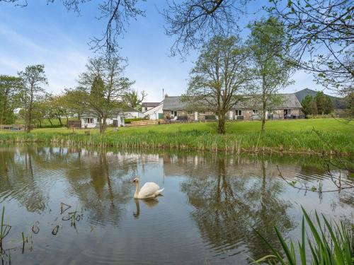 Owl Cottage — 4-Star Luxury Hotel in Llandeilo, United Kingdom