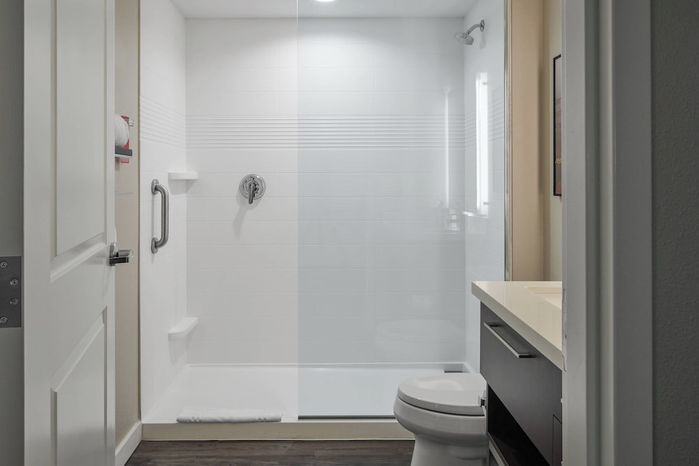 TownePlace Suites by Marriott Tampa South - photo 11