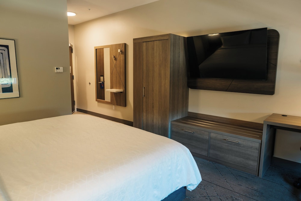 Holiday Inn Express & Suites McCalla Birmingham West by IHG - photo 22