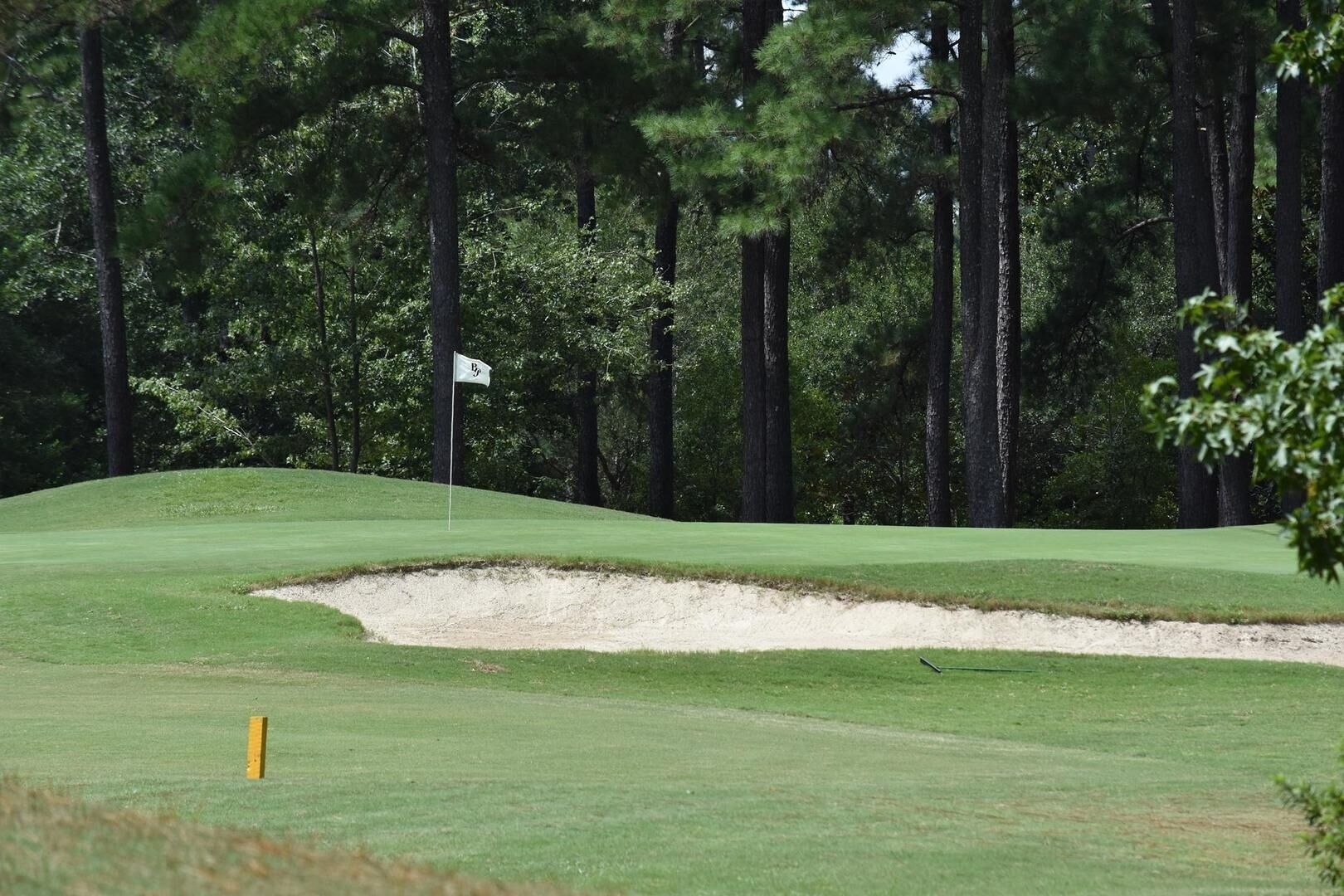 Studio Home 3009l Brunswick Plantation Resort With 27 Hole Golf Course by Redawning - photo 15