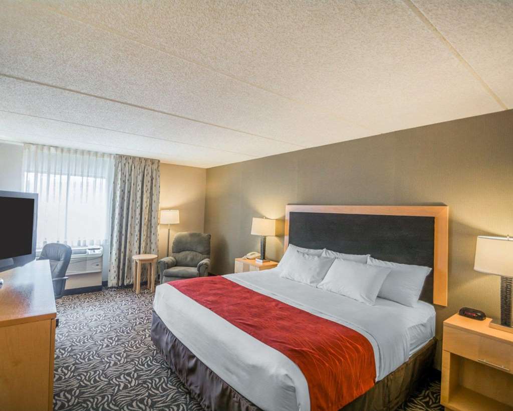 Comfort Inn NYS Fairgrounds - photo 25