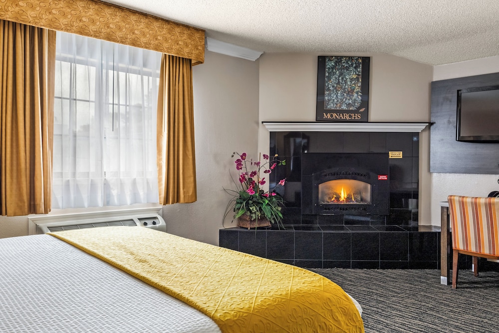 Arbor Inn Monterey - photo 18